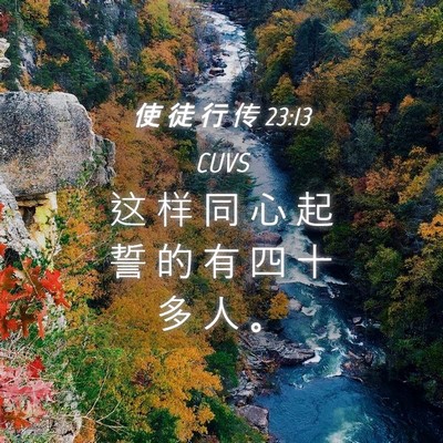 Picture 04 - 使 徒 行 传 23:13 CUVS - 这 样 同 心 起 誓 的 有 四 十 多 人 - Bible Verse Picture