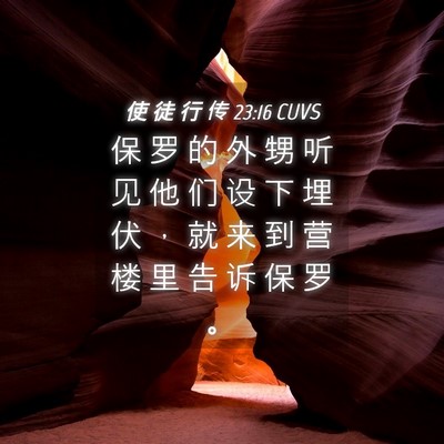 Picture 04 - 使 徒 行 传 23:16 CUVS - 保 罗 的 外 甥 听 见 他 们 设 下 埋 - Bible Verse Picture