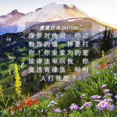 Picture 04 - 使 徒 行 传 23:3 CUVS - 保 罗 对 他 说 ： 你 这 粉 饰 的 墙 - Bible Verse Picture