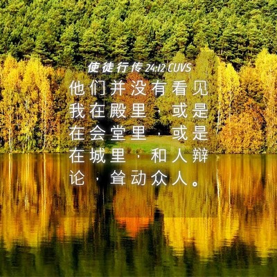Picture 04 - 使 徒 行 传 24:12 CUVS - 他 们 并 没 有 看 见 我 在 殿 里 ， - Bible Verse Picture