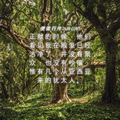 Picture 04 - 使 徒 行 传 24:18 CUVS - 正 献 的 时 候 ， 他 们 看 见 我 在 - Bible Verse Picture