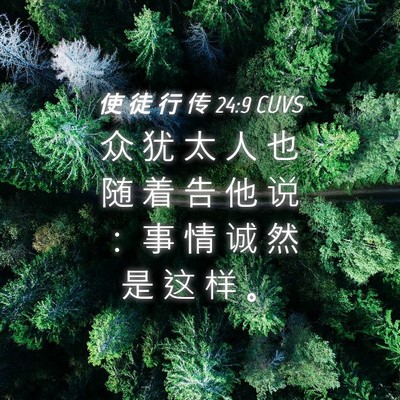 Picture 04 - 使 徒 行 传 24:9 CUVS - 众 犹 太 人 也 随 着 告 他 说 ： 事 - Bible Verse Picture
