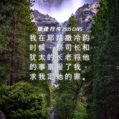 Picture 04 - 使 徒 行 传 25:15 CUVS - 我 在 耶 路 撒 冷 的 时 候 ， 祭 司 - Bible Verse Picture