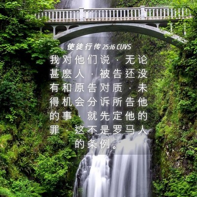 Picture 04 - 使 徒 行 传 25:16 CUVS - 我 对 他 们 说 ， 无 论 甚 麽 人 ， - Bible Verse Picture