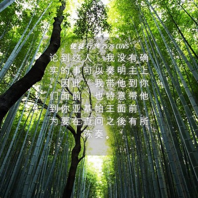 Picture 04 - 使 徒 行 传 25:26 CUVS - 论 到 这 人 ， 我 没 有 确 实 的 事 - Bible Verse Picture