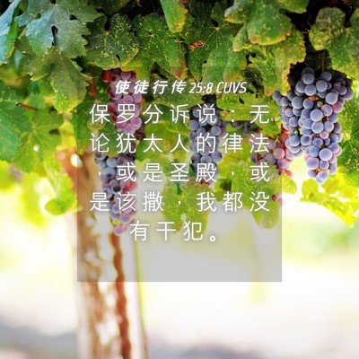 Picture 04 - 使 徒 行 传 25:8 CUVS - 保 罗 分 诉 说 ： 无 论 犹 太 人 的 - Bible Verse Picture