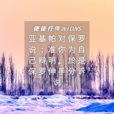 Picture 04 - 使 徒 行 传 26:1 CUVS - 亚 基 帕 对 保 罗 说 ： 准 你 为 自 - Bible Verse Picture