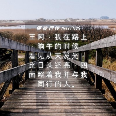 Picture 04 - 使 徒 行 传 26:13 CUVS - 王 阿 ， 我 在 路 上 ， 晌 午 的 时 - Bible Verse Picture