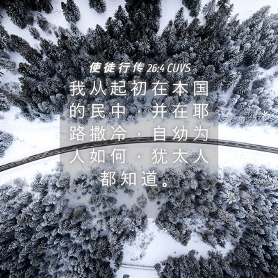 Picture 04 - 使 徒 行 传 26:4 CUVS - 我 从 起 初 在 本 国 的 民 中 ， 并 - Bible Verse Picture