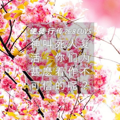 Picture 04 - 使 徒 行 传 26:8 CUVS - 神 叫 死 人 复 活 ， 你 们 为 甚 麽 - Bible Verse Picture