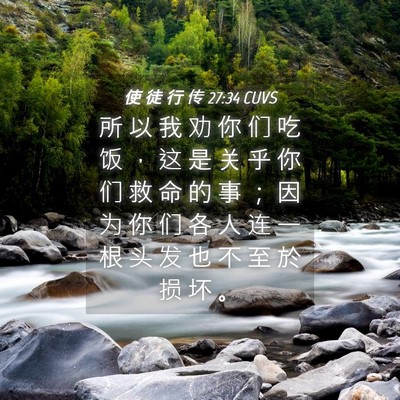 Picture 04 - 使 徒 行 传 27:34 CUVS - 所 以 我 劝 你 们 吃 饭 ， 这 是 关 - Bible Verse Picture