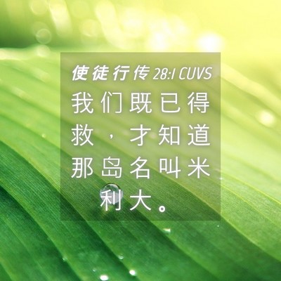 Picture 04 - 使 徒 行 传 28:1 CUVS - 我 们 既 已 得 救 ， 才 知 道 那 岛 - Bible Verse Picture