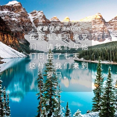 Picture 04 - 使 徒 行 传 28:14 CUVS - 在 那 里 遇 见 弟 兄 们 ， 请 我 们 - Bible Verse Picture