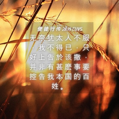 Picture 04 - 使 徒 行 传 28:19 CUVS - 无 奈 犹 太 人 不 服 ， 我 不 得 已 - Bible Verse Picture