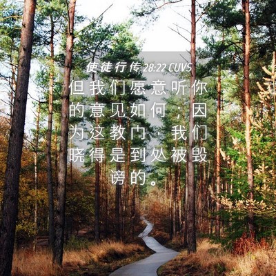 Picture 04 - 使 徒 行 传 28:22 CUVS - 但 我 们 愿 意 听 你 的 意 见 如 何 - Bible Verse Picture