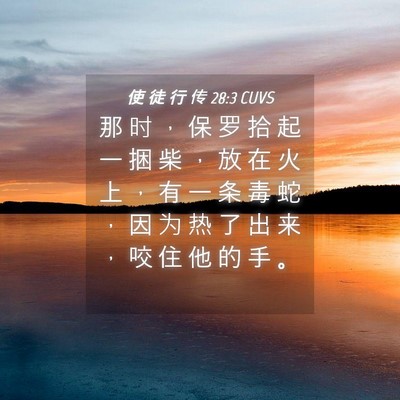 Picture 04 - 使 徒 行 传 28:3 CUVS - 那 时 ， 保 罗 拾 起 一 捆 柴 ， 放 - Bible Verse Picture