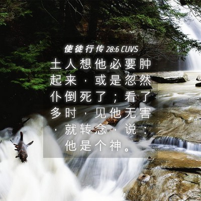 Picture 04 - 使 徒 行 传 28:6 CUVS - 土 人 想 他 必 要 肿 起 来 ， 或 是 - Bible Verse Picture