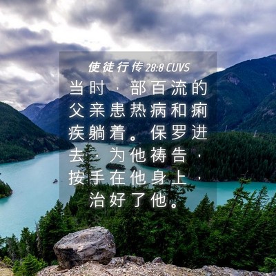 Picture 04 - 使 徒 行 传 28:8 CUVS - 当 时 ， 部 百 流 的 父 亲 患 热 病 - Bible Verse Picture