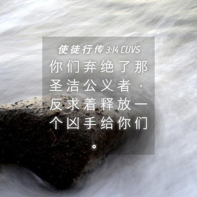 Picture 04 - 使 徒 行 传 3:14 CUVS - 你 们 弃 绝 了 那 圣 洁 公 义 者 ， - Bible Verse Picture