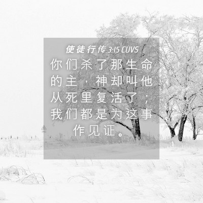 Picture 04 - 使 徒 行 传 3:15 CUVS - 你 们 杀 了 那 生 命 的 主 ， 神 却 - Bible Verse Picture