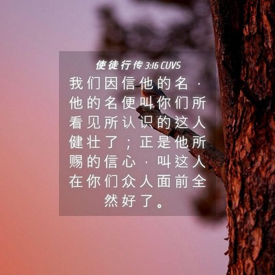 Picture 04 - 使 徒 行 传 3:16 CUVS - 我 们 因 信 他 的 名 ， 他 的 名 便 - Bible Verse Picture