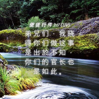 Picture 04 - 使 徒 行 传 3:17 CUVS - 弟 兄 们 ， 我 晓 得 你 们 做 这 事 - Bible Verse Picture