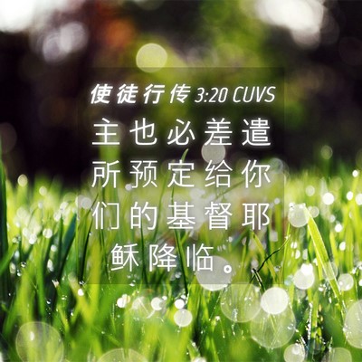 Picture 04 - 使 徒 行 传 3:20 CUVS - 主 也 必 差 遣 所 预 定 给 你 们 的 - Bible Verse Picture