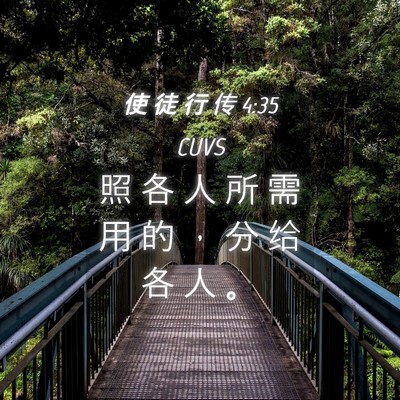 Picture 04 - 使 徒 行 传 4:35 CUVS - 照 各 人 所 需 用 的 ， 分 给 各 人 - Bible Verse Picture
