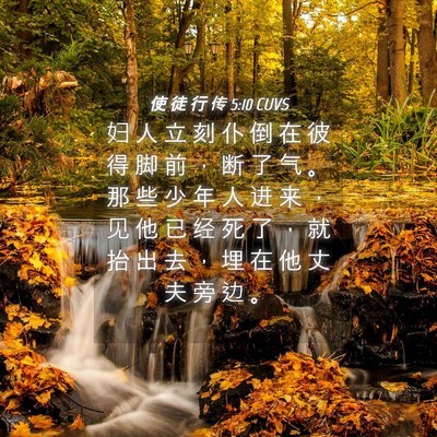 Picture 04 - 使 徒 行 传 5:10 CUVS - 妇 人 立 刻 仆 倒 在 彼 得 脚 前 ， - Bible Verse Picture