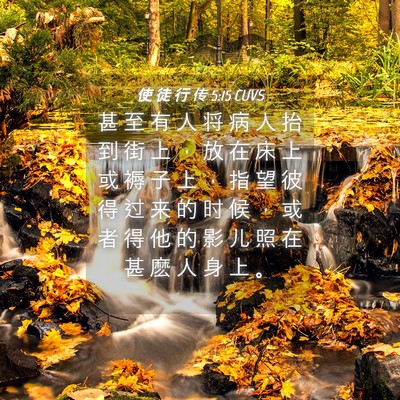 Picture 04 - 使 徒 行 传 5:15 CUVS - 甚 至 有 人 将 病 人 抬 到 街 上 ， - Bible Verse Picture