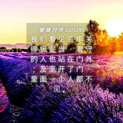 Picture 04 - 使 徒 行 传 5:23 CUVS - 我 们 看 见 监 牢 关 得 极 妥 当 ， - Bible Verse Picture