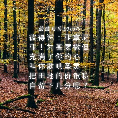 Picture 04 - 使 徒 行 传 5:3 CUVS - 彼 得 说 ： 亚 拿 尼 亚 ！ 为 甚 麽 - Bible Verse Picture