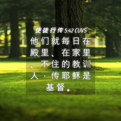 Picture 04 - 使 徒 行 传 5:42 CUVS - 他 们 就 每 日 在 殿 里 、 在 家 里 - Bible Verse Picture
