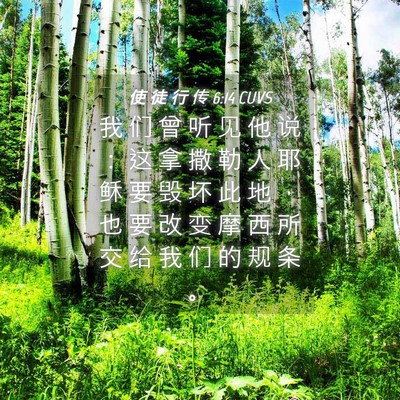 Picture 04 - 使 徒 行 传 6:14 CUVS - 我 们 曾 听 见 他 说 ： 这 拿 撒 勒 - Bible Verse Picture