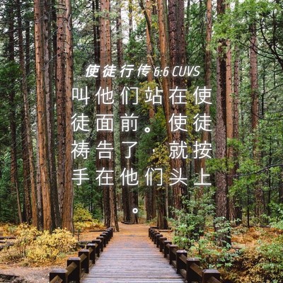 Picture 04 - 使 徒 行 传 6:6 CUVS - 叫 他 们 站 在 使 徒 面 前 。 使 徒 - Bible Verse Picture