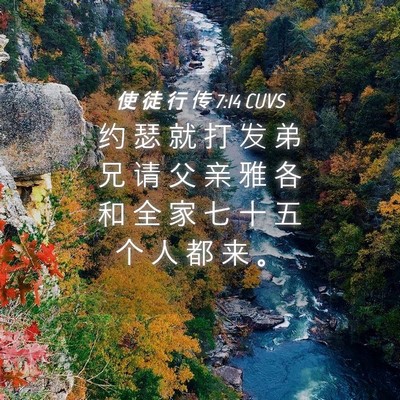 Picture 04 - 使 徒 行 传 7:14 CUVS - 约 瑟 就 打 发 弟 兄 请 父 亲 雅 各 - Bible Verse Picture