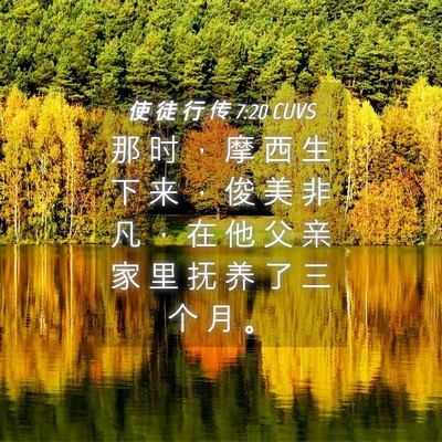 Picture 04 - 使 徒 行 传 7:20 CUVS - 那 时 ， 摩 西 生 下 来 ， 俊 美 非 - Bible Verse Picture