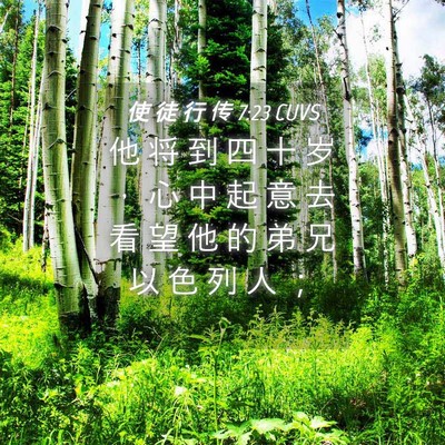 Picture 04 - 使 徒 行 传 7:23 CUVS - 他 将 到 四 十 岁 ， 心 中 起 意 去 - Bible Verse Picture