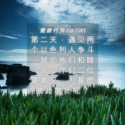 Picture 04 - 使 徒 行 传 7:26 CUVS - 第 二 天 ， 遇 见 两 个 以 色 列 人 - Bible Verse Picture