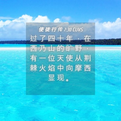 Picture 04 - 使 徒 行 传 7:30 CUVS - 过 了 四 十 年 ， 在 西 乃 山 的 旷 - Bible Verse Picture