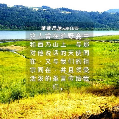 Picture 04 - 使 徒 行 传 7:38 CUVS - 这 人 曾 在 旷 野 会 中 和 西 乃 山 - Bible Verse Picture