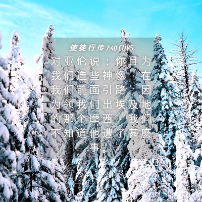 Picture 04 - 使 徒 行 传 7:40 CUVS - 对 亚 伦 说 ： 你 且 为 我 们 造 些 - Bible Verse Picture
