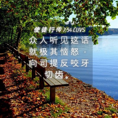 Picture 04 - 使 徒 行 传 7:54 CUVS - 众 人 听 见 这 话 就 极 其 恼 怒 ， - Bible Verse Picture