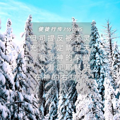 Picture 04 - 使 徒 行 传 7:55 CUVS - 但 司 提 反 被 圣 灵 充 满 ， 定 睛 - Bible Verse Picture