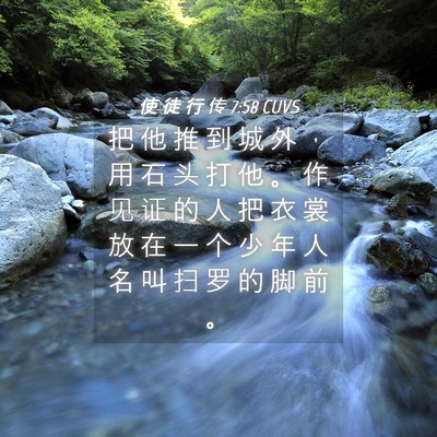 Picture 04 - 使 徒 行 传 7:58 CUVS - 把 他 推 到 城 外 ， 用 石 头 打 他 - Bible Verse Picture