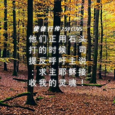 Picture 04 - 使 徒 行 传 7:59 CUVS - 他 们 正 用 石 头 打 的 时 候 ， 司 - Bible Verse Picture