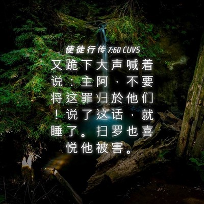 Picture 04 - 使 徒 行 传 7:60 CUVS - 又 跪 下 大 声 喊 着 说 ： 主 阿 ， - Bible Verse Picture