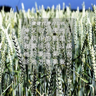 Picture 04 - 使 徒 行 传 7:7 CUVS - 神 又 说 ： 使 他 们 作 奴 仆 的 那 - Bible Verse Picture