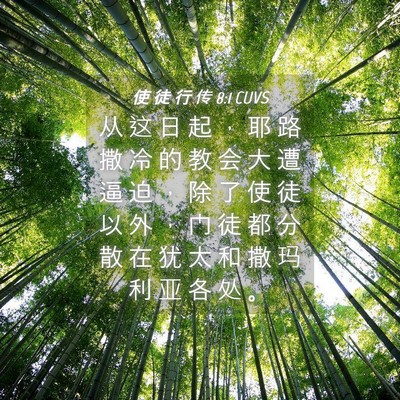 Picture 04 - 使 徒 行 传 8:1 CUVS - 从 这 日 起 ， 耶 路 撒 冷 的 教 会 - Bible Verse Picture