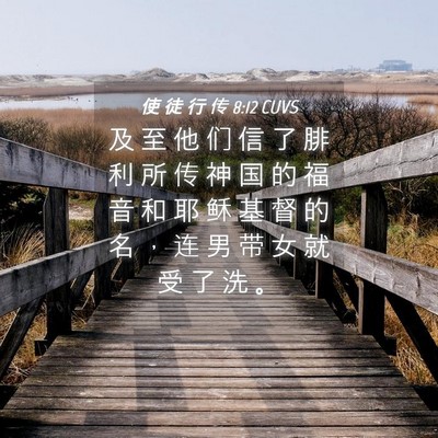 Picture 04 - 使 徒 行 传 8:12 CUVS - 及 至 他 们 信 了 腓 利 所 传 神 国 - Bible Verse Picture